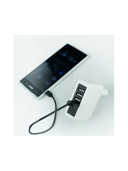 Secteur multiports USB