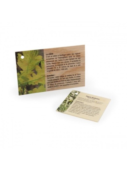 Carte en bois publicitaire