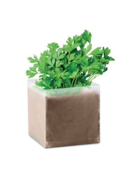 Sac avec graines de persil