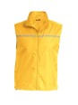 Gilet d'entrainement...