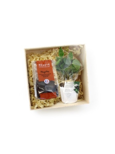 Coffret publicitaire de...