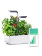 Potager publicitaire...