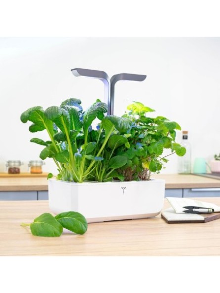 Potager publicitaire...