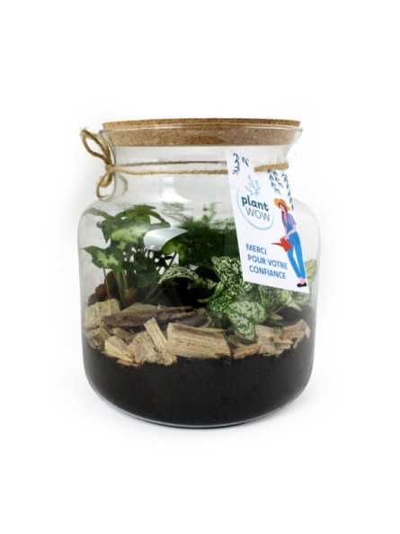 Terrarium à personnalisé...