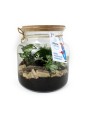 Terrarium à personnalisé...
