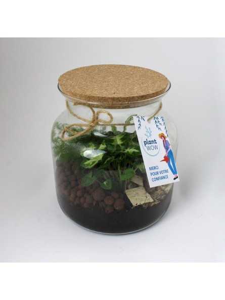 Terrarium à personnalisé...