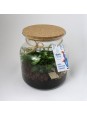 Terrarium à personnalisé...