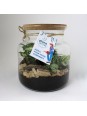 Terrarium à personnalisé...