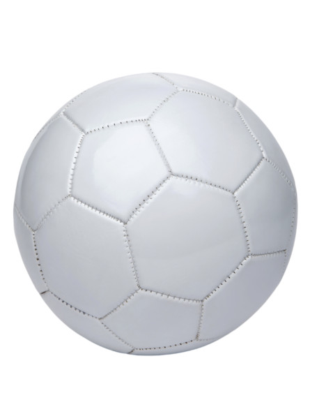 Ballon de Handball...