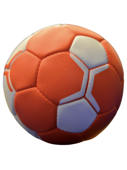 Ballon de Handball...