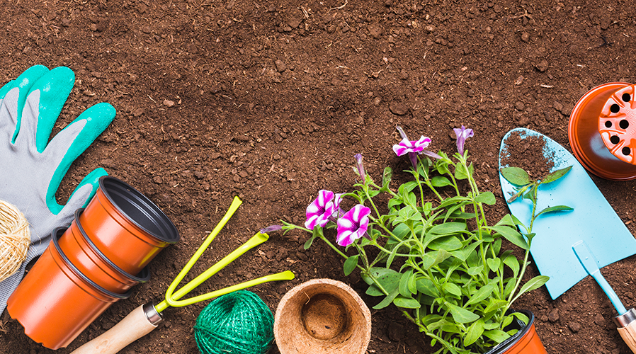 Lire la suite à propos de l’article C&rsquo;est la saison du jardinage !
